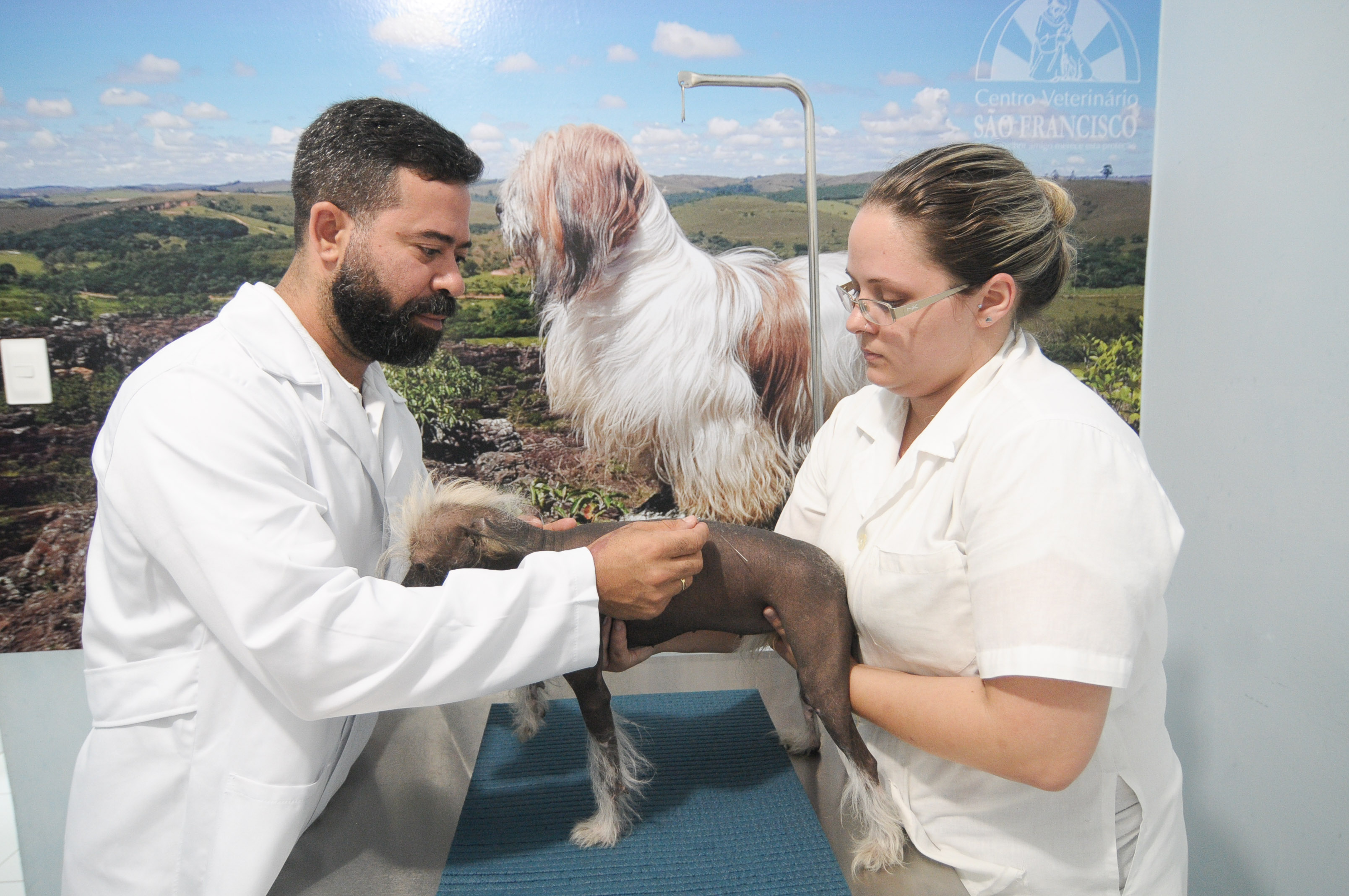 CãoBoy - Hospital Veterinário Especializado